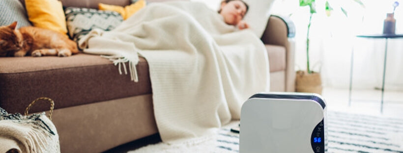 Top 5 Air Purifiers Reviews & Buying Tips